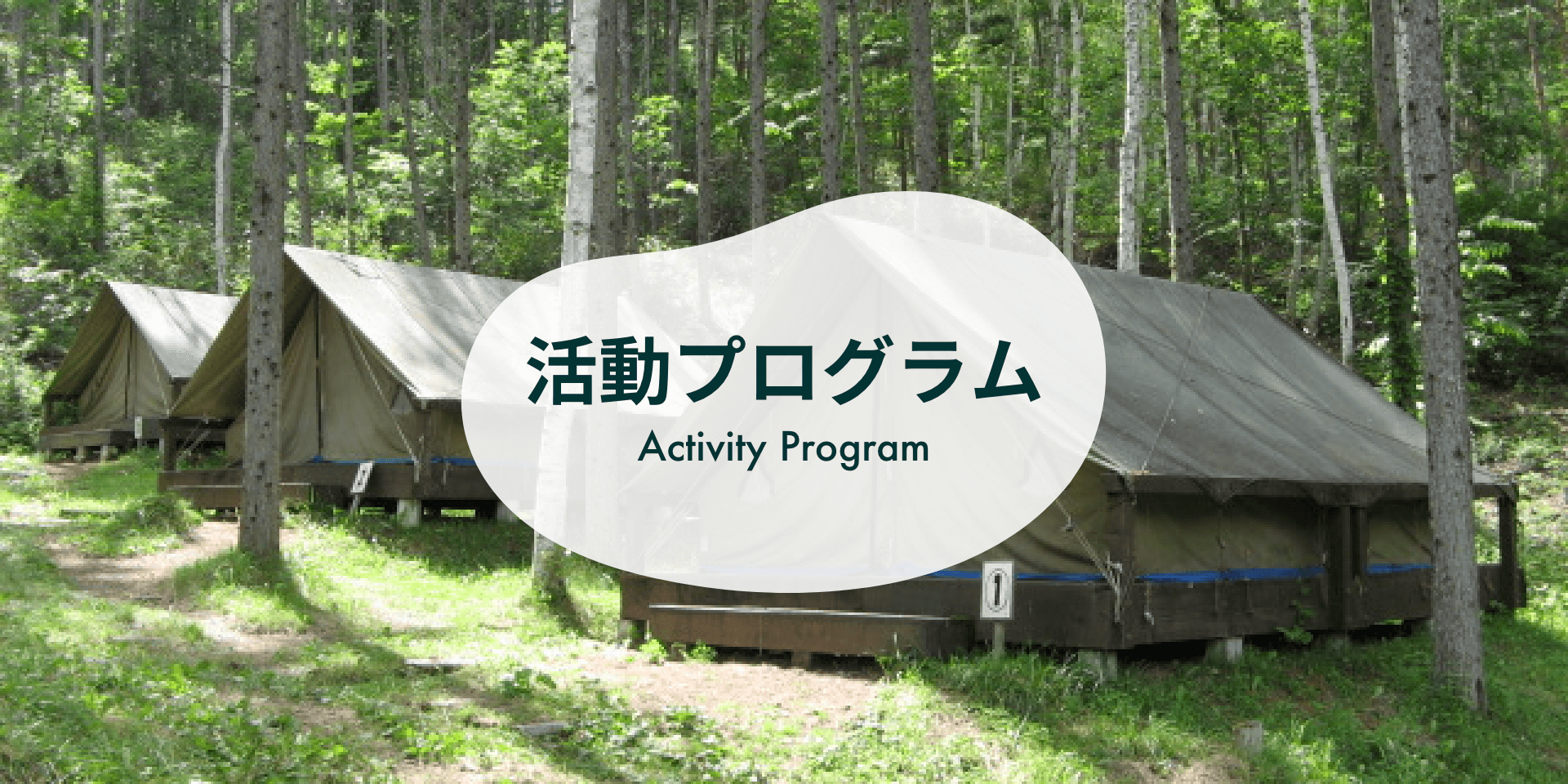 プログラム紹介