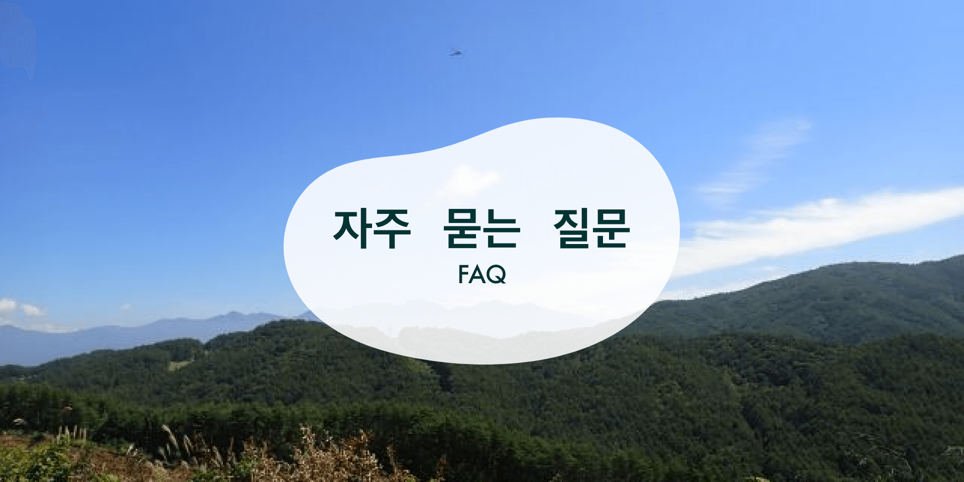 자주 묻는 질문