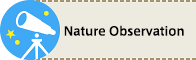 Nature Observation